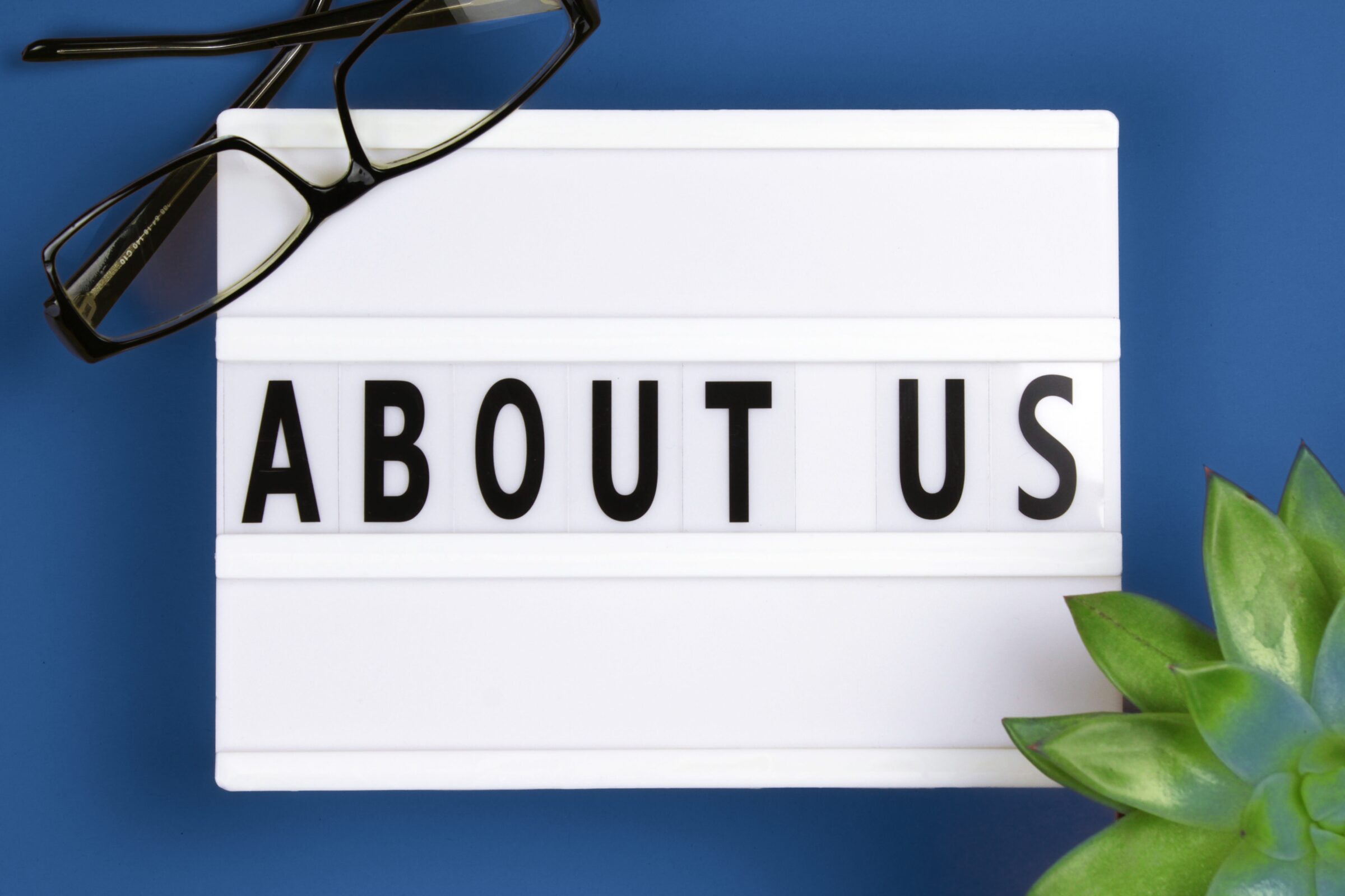 envato about us word on lightbox with succulent plant blue background